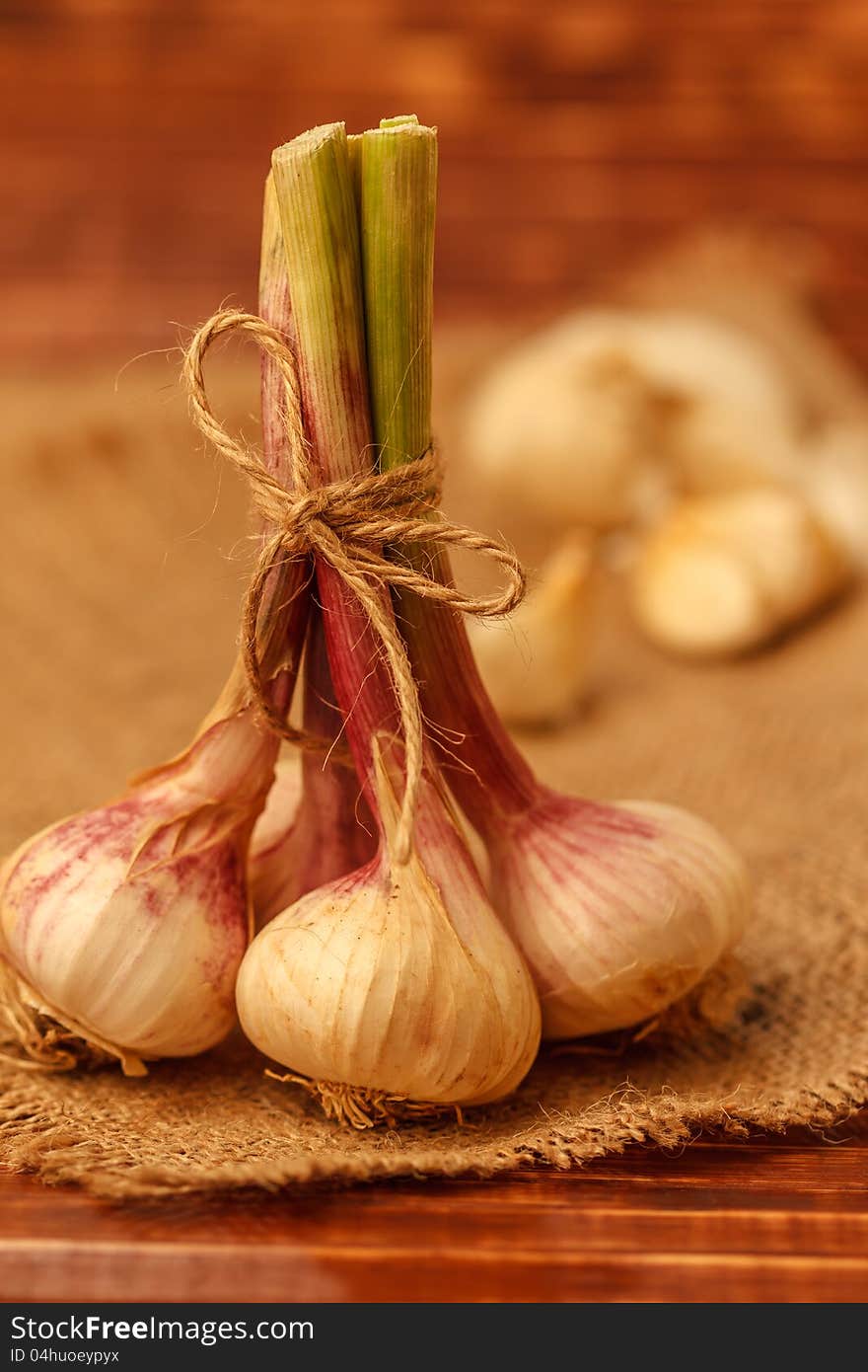 Bunch of summer garlic on burlap background