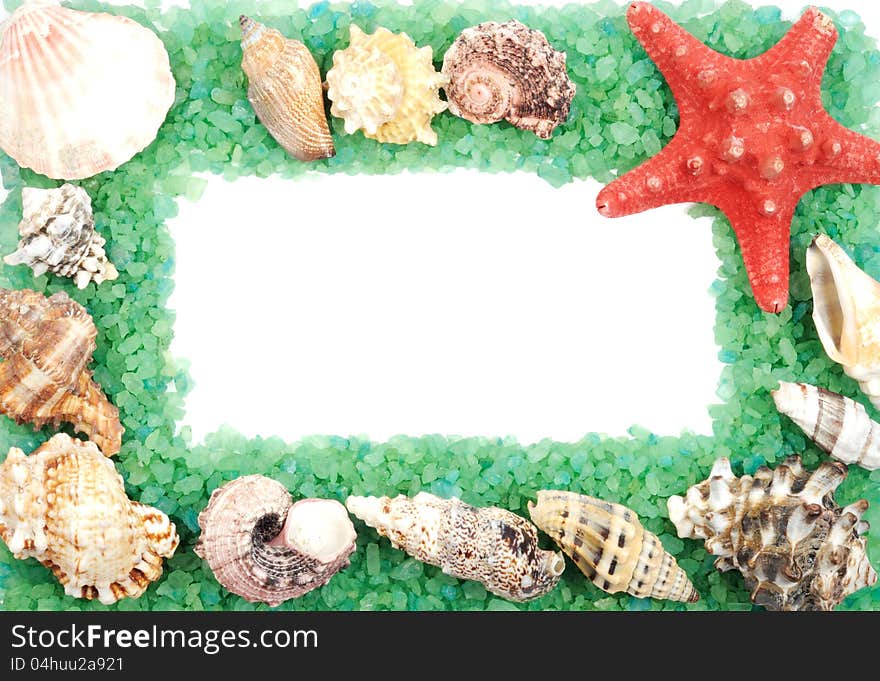 Border with seashells and green sea salt, with white copy space. Border with seashells and green sea salt, with white copy space