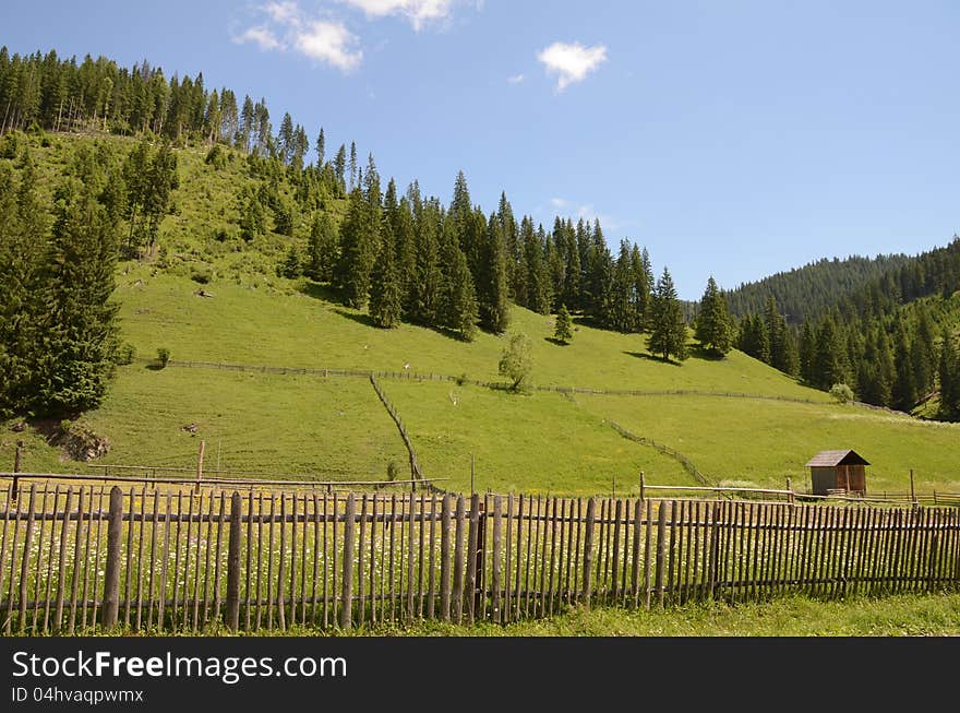 Hill fence chalet