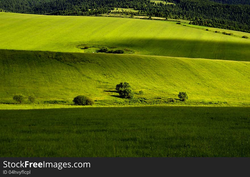 Green meadow summer scene outdoor