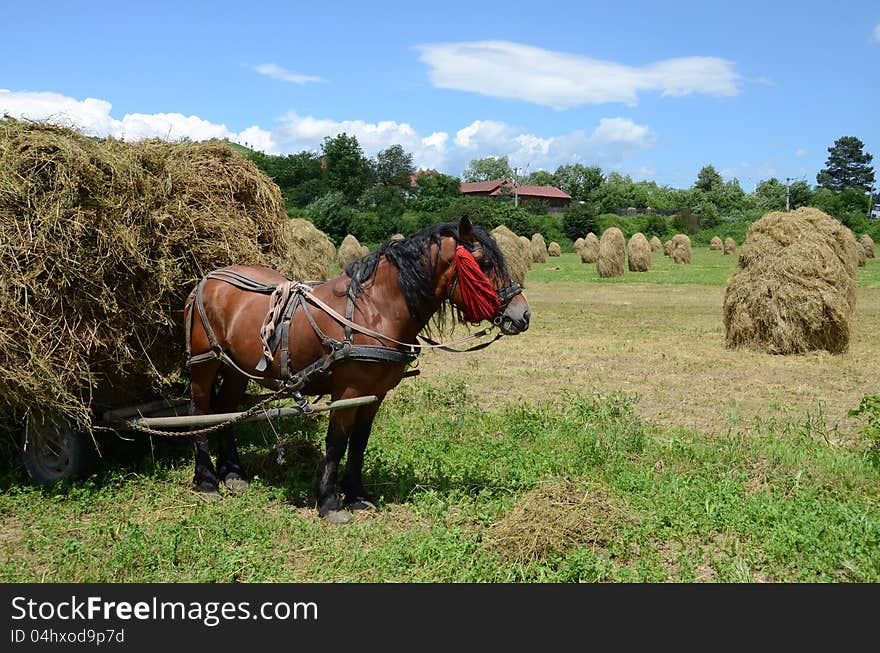 Land autumn work