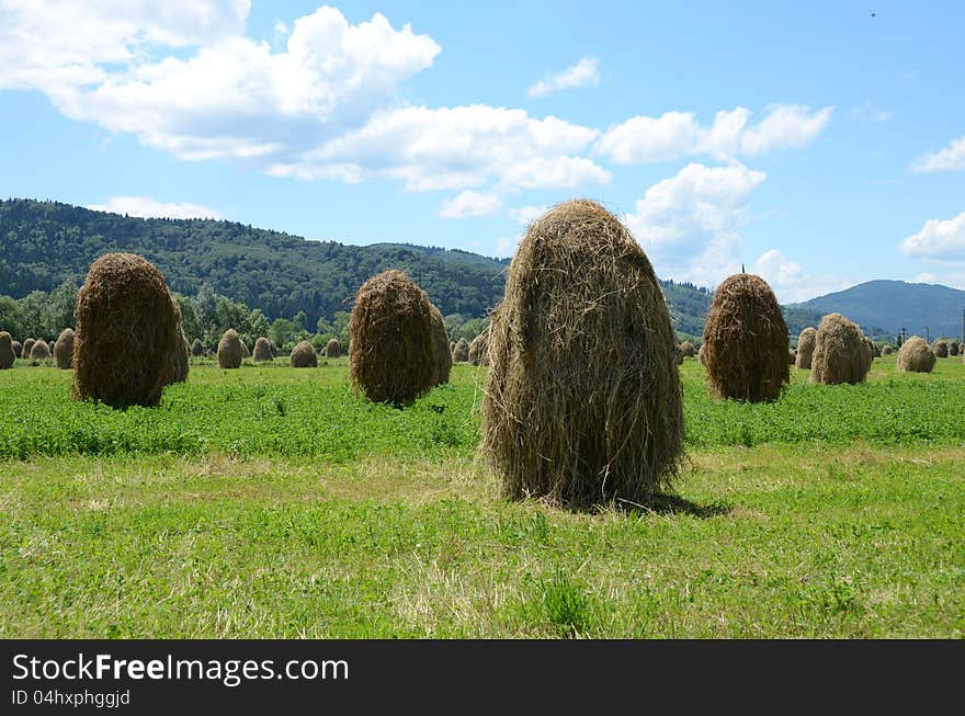 Haycock on green hill and forest rural agriculture. Haycock on green hill and forest rural agriculture