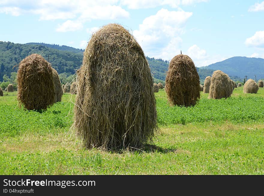 Haycock on green hill and forest rural agriculture. Haycock on green hill and forest rural agriculture