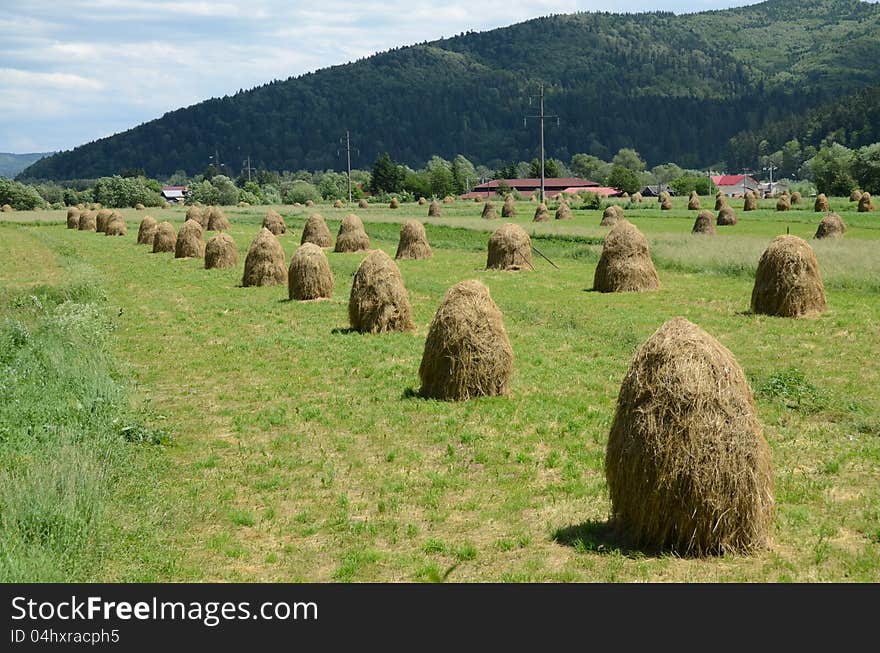 Haycock on green hill and forest rural agriculture. Haycock on green hill and forest rural agriculture