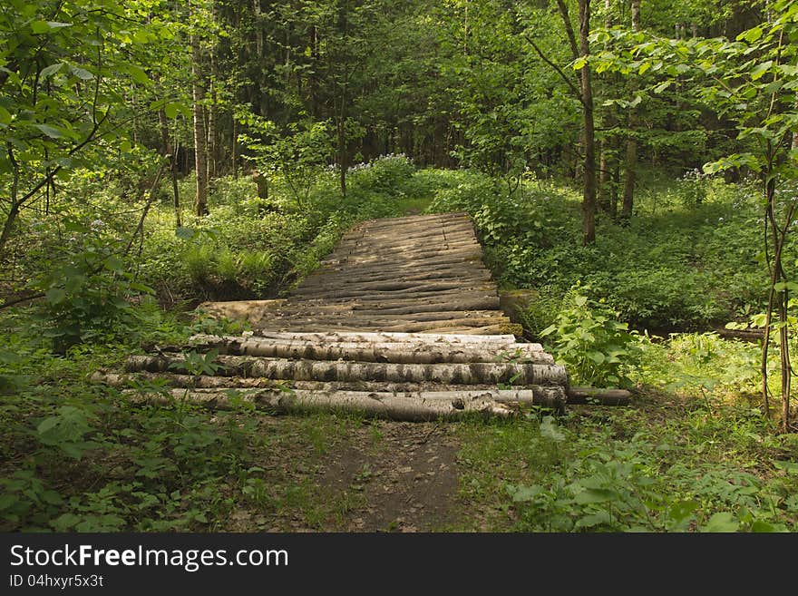 The timbered bridge in wood. The timbered bridge in wood.