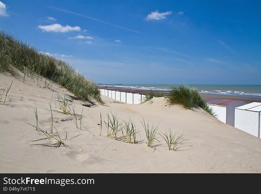 Sand dunes Landscape