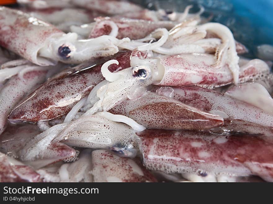 A fresh squid for sale at a market