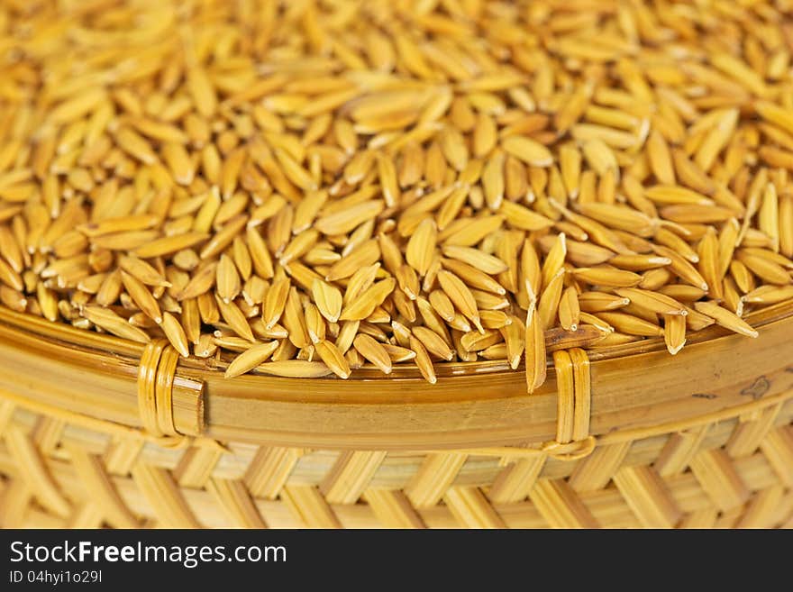 Close up paddy rice in basket