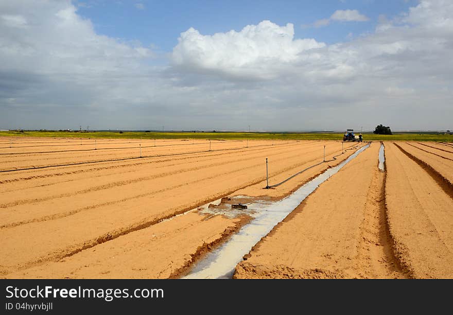 Irrigation