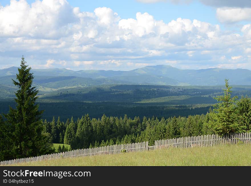 Mountain pine fence