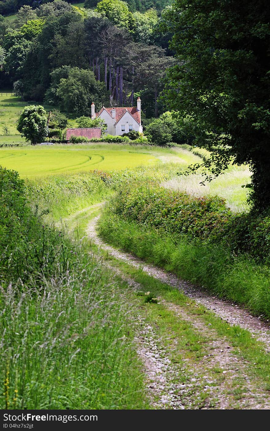 English Rural Landscape with  Farm Track