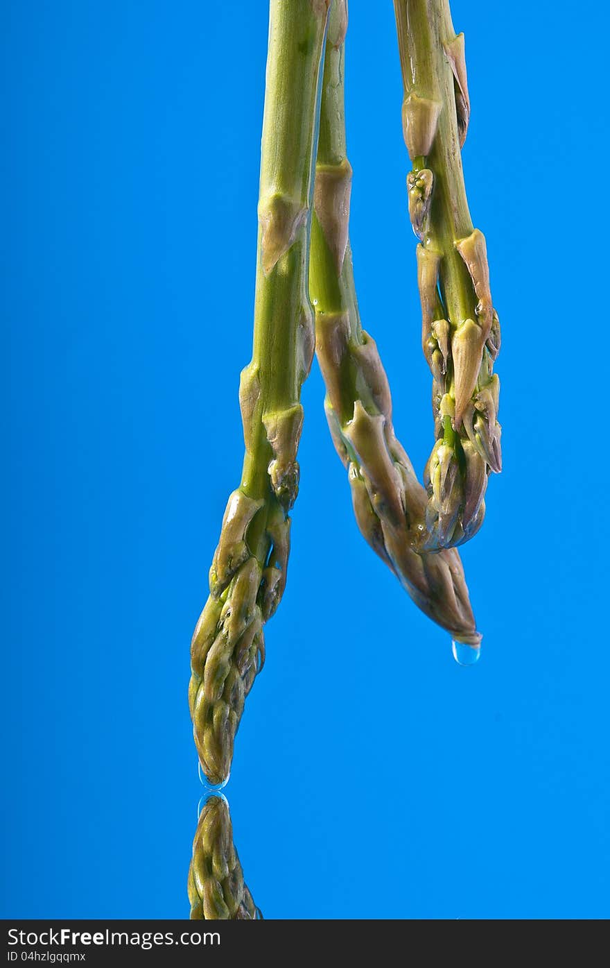 Asparagus 2