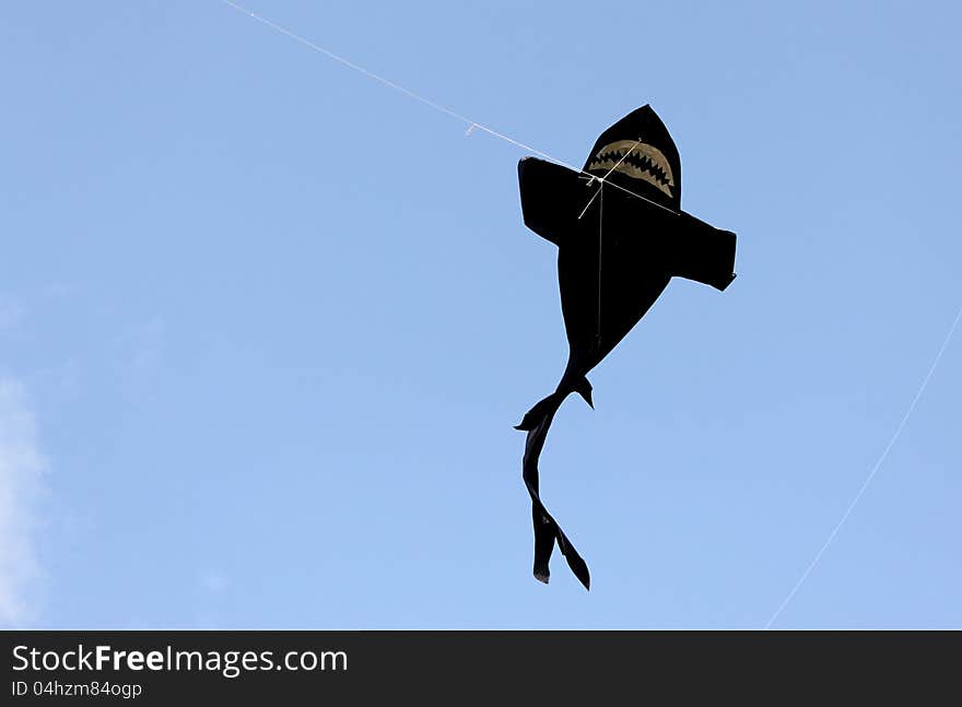 Black fish kites with clean blue sky