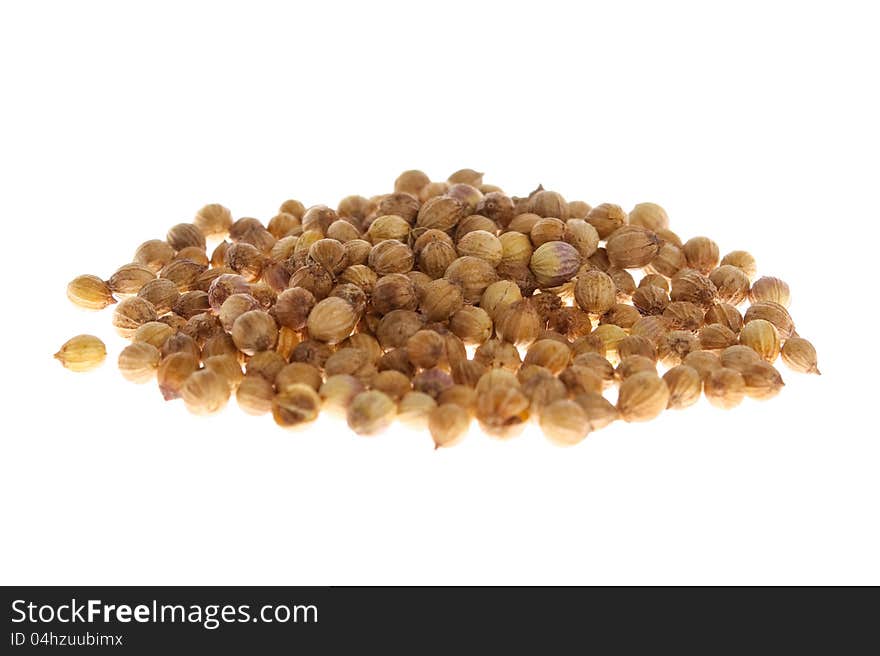 Fresh aromatic coriander seeds isolated on white background