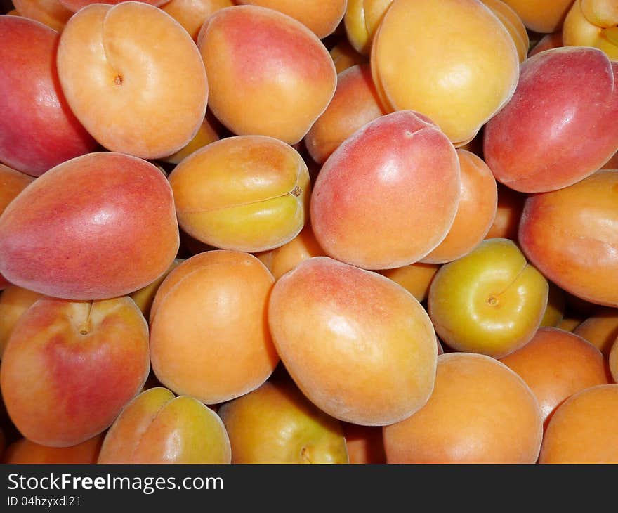 Ripe Apricots