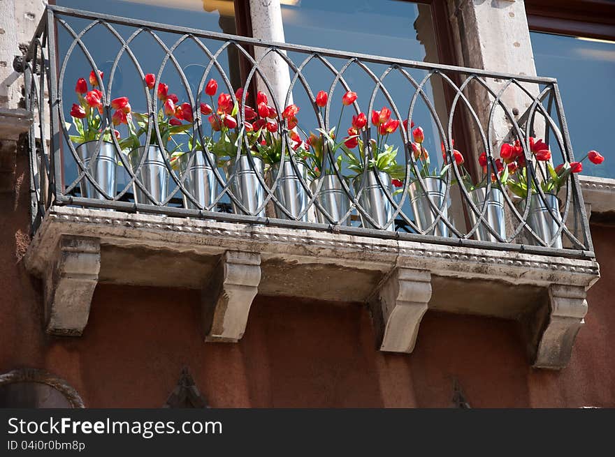 Balcony with tulips in buckets