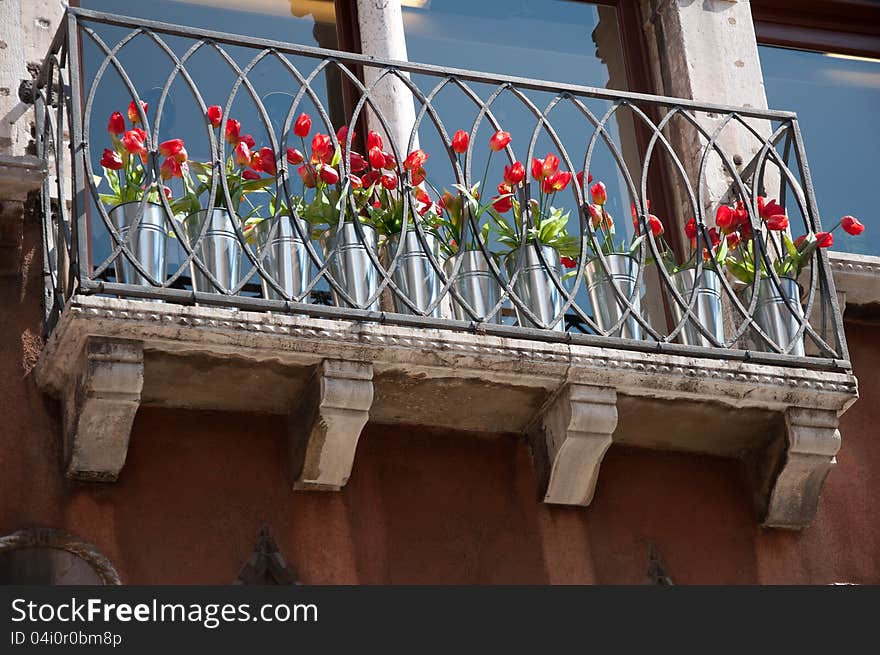 Balcony with tulips