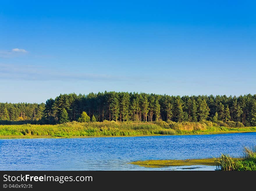 Forest Lake Under Blue Cloudy Sky