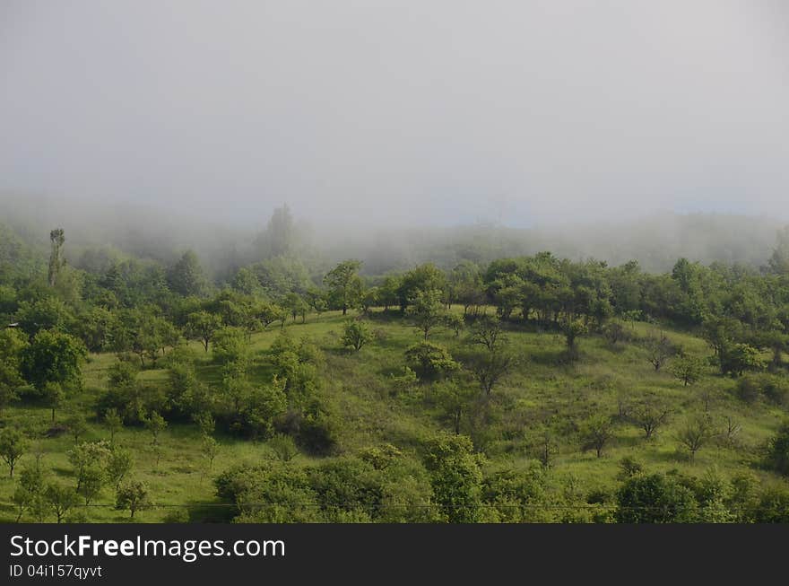 Rural fog hill