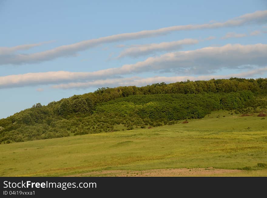 Green hill and forest rural agriculture. Green hill and forest rural agriculture