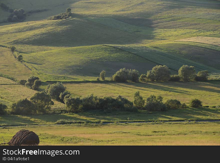 Agriculture Land