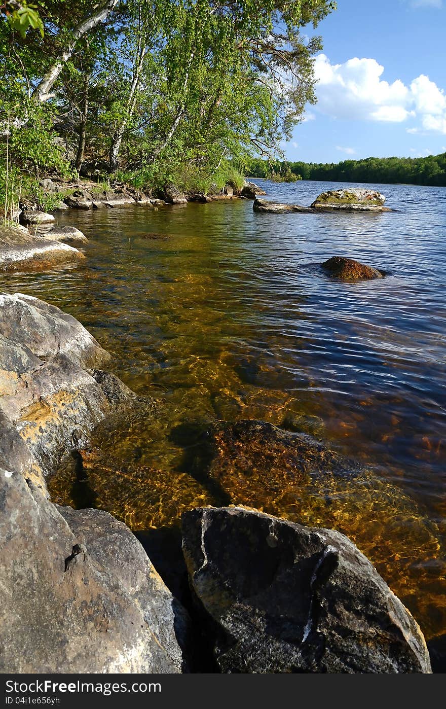 Wild Lake Coast In Vertical