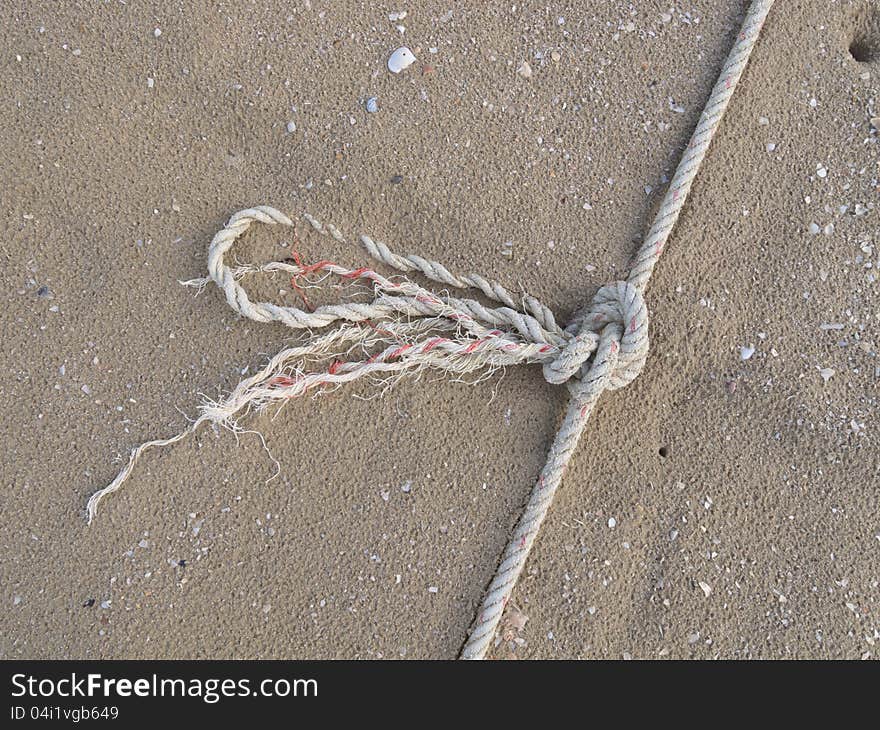 A knot on the beach.