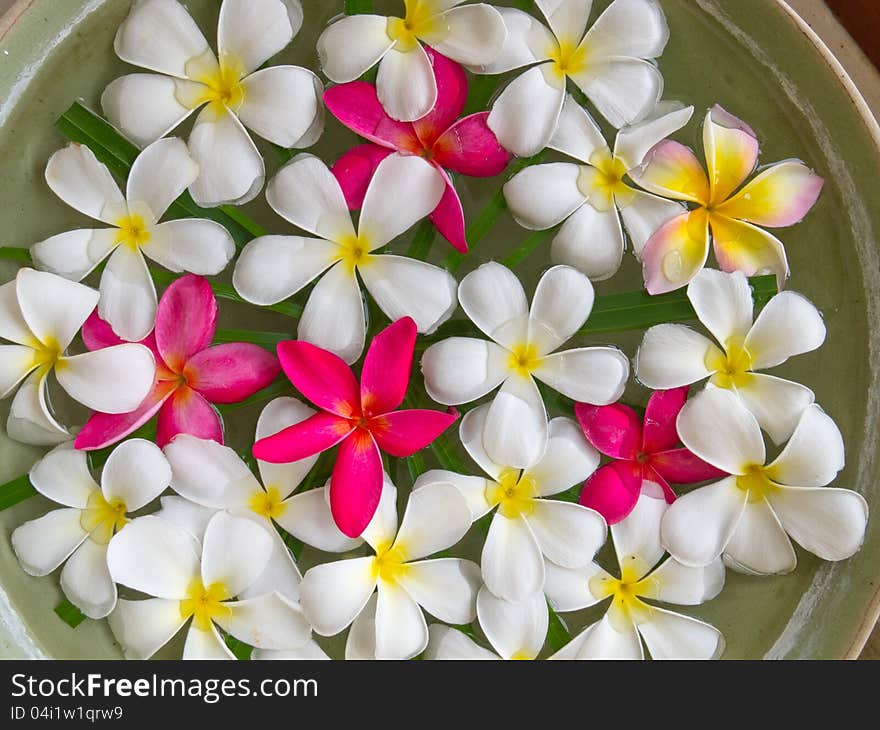 A bowl of flower for decoration.