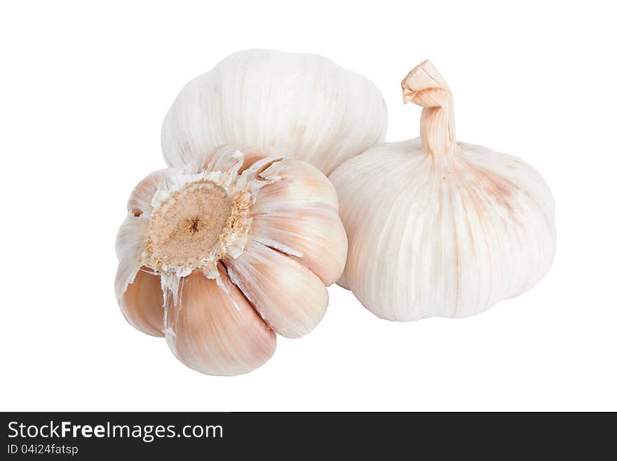 Fresh Garlic