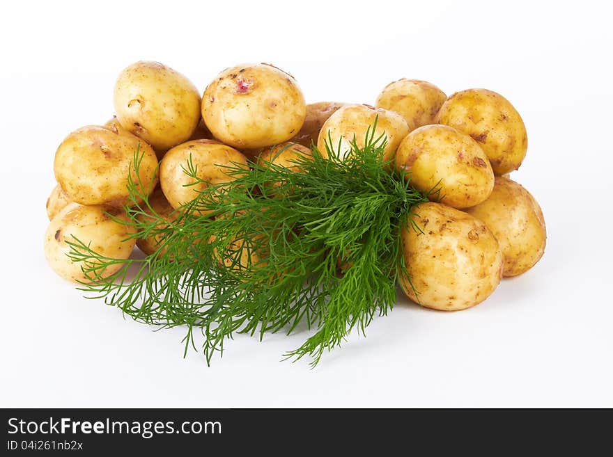 Bunch of potatoes on white background close up shoot