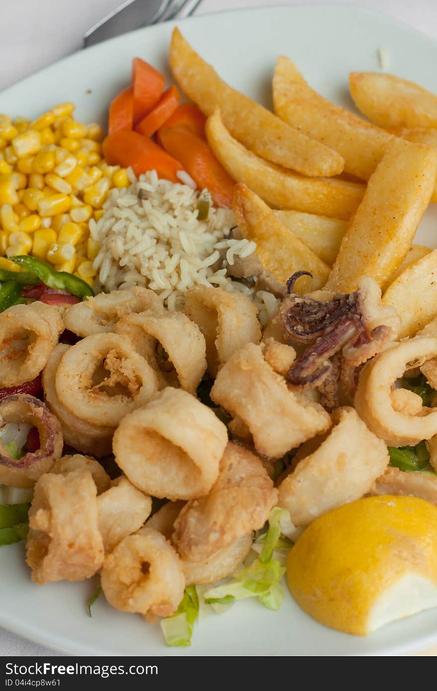 Fried calamari with vegetables on the plate