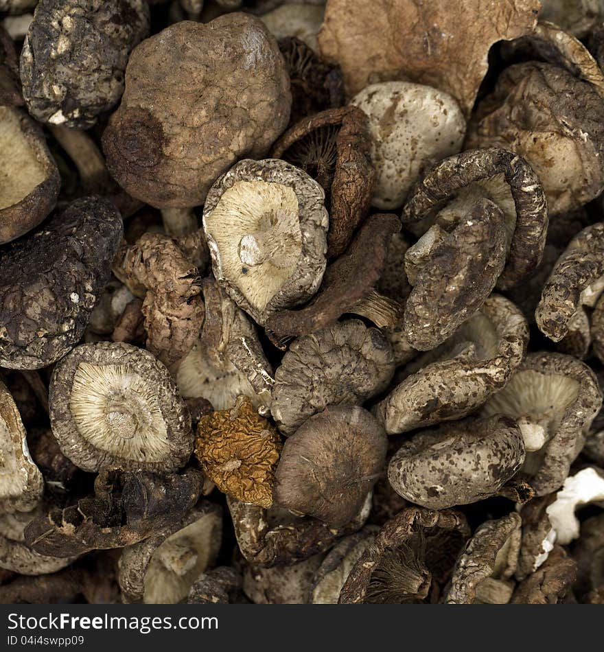 Dried mushrooms for sale at a market.