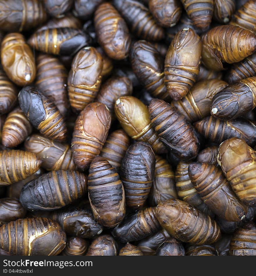 Live silkwormcocoons for sale at a market. Live silkwormcocoons for sale at a market.