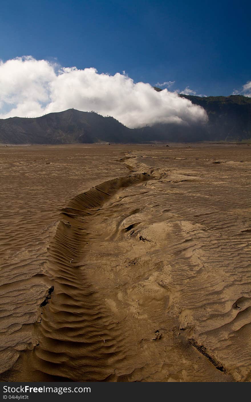 Path in the sand