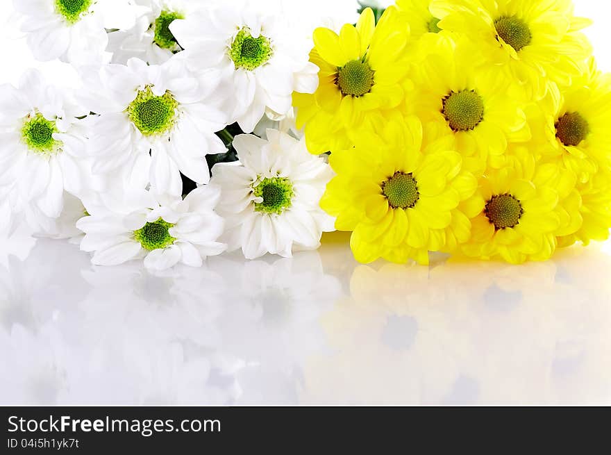 Flower Background