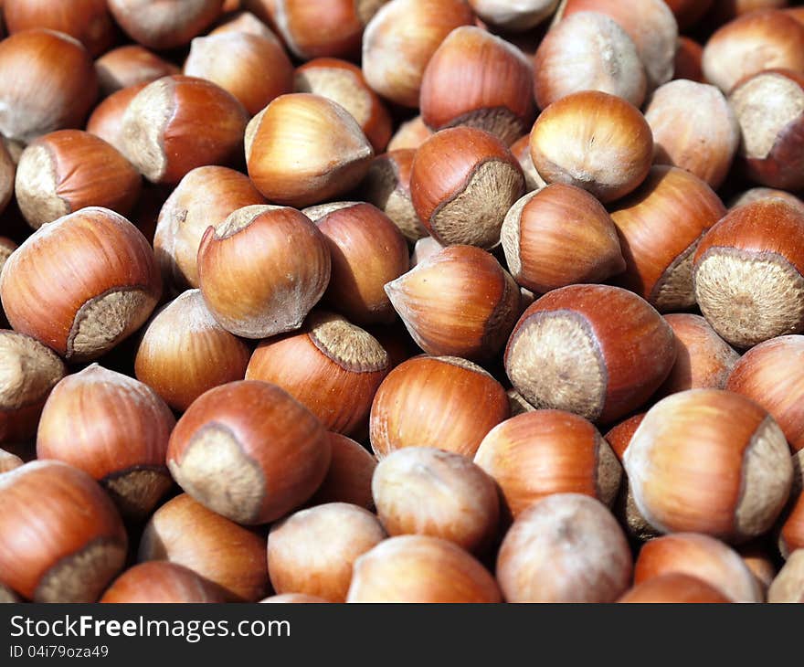 The photo of a set of dried hazelnuts with a shell