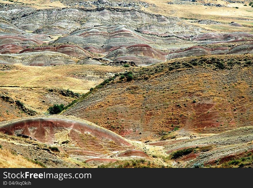 Arid landscape