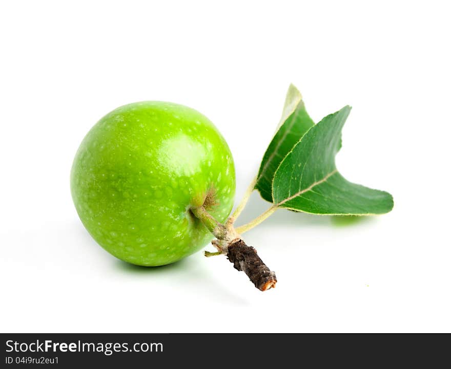 Green apple with leaves and branch