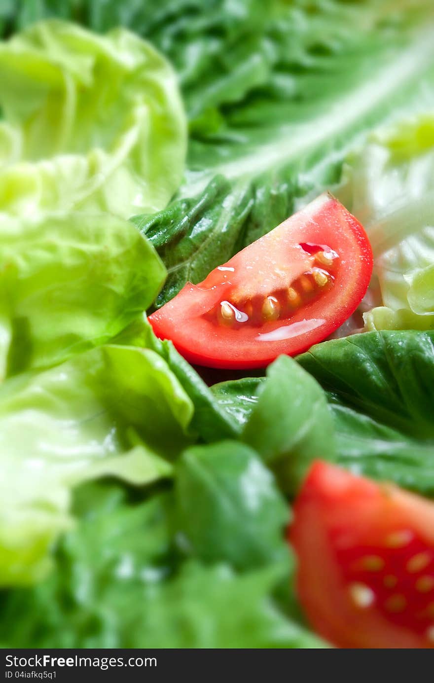 Salad with green vegetables and tomatoes. Salad with green vegetables and tomatoes