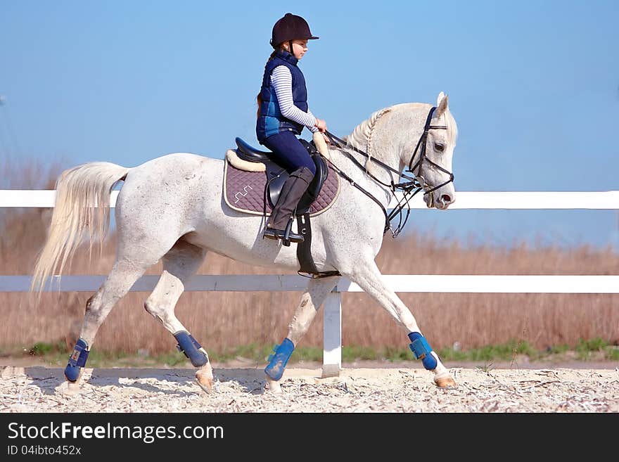 The horsewoman on a white Arab horse