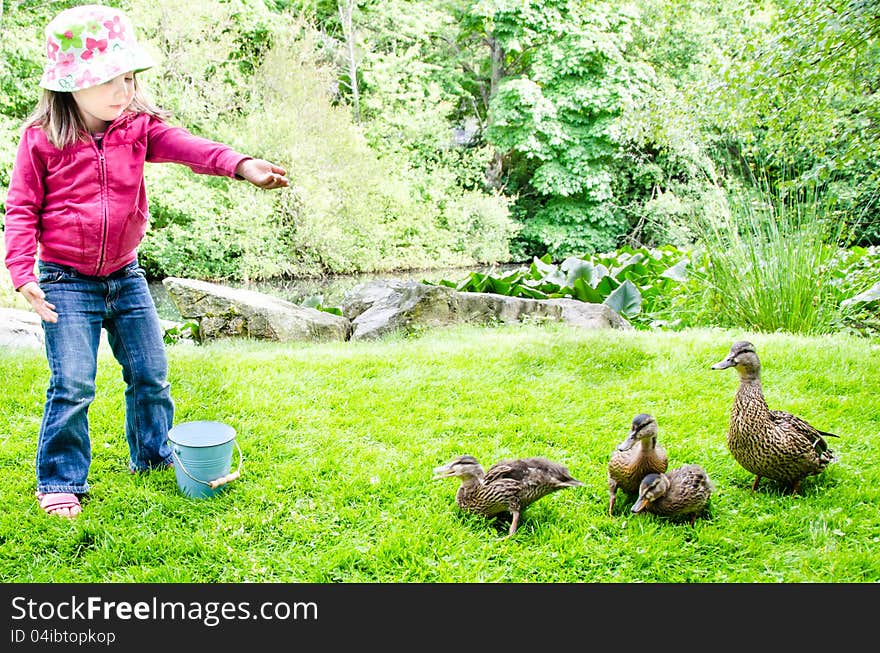 Pretty little girl feeds ducklings while their mother watches over her brood at a neighborhood pond. Pretty little girl feeds ducklings while their mother watches over her brood at a neighborhood pond.