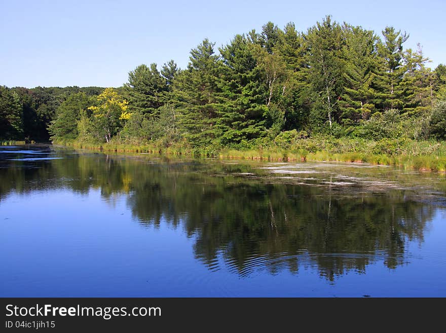 Summer reflections