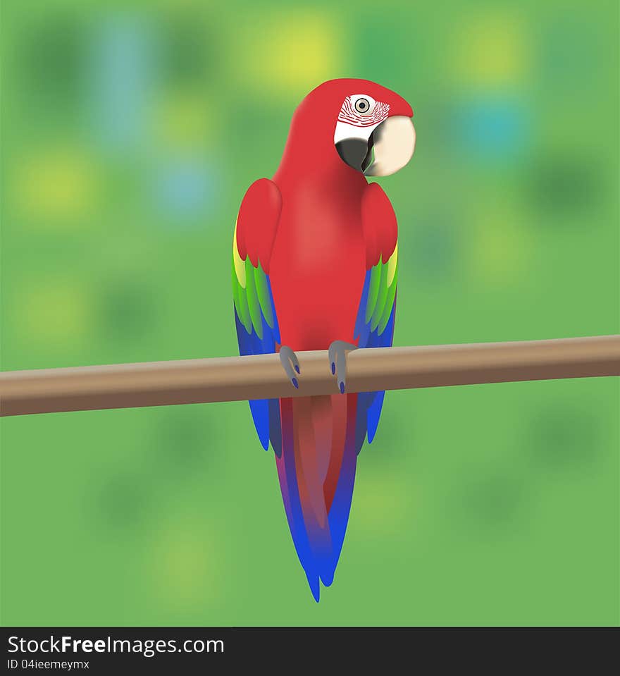 Red Macaw Parrot sitting on a branch