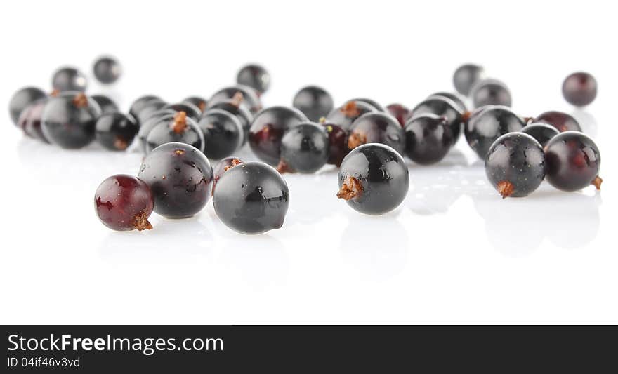 Black currant spilled