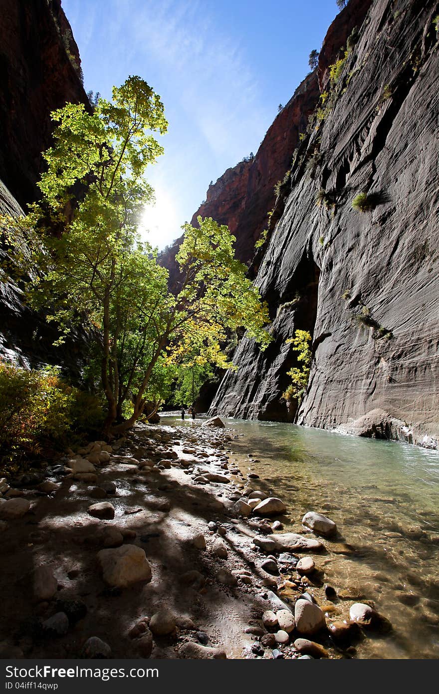 The Narrows trail in Zion National Park