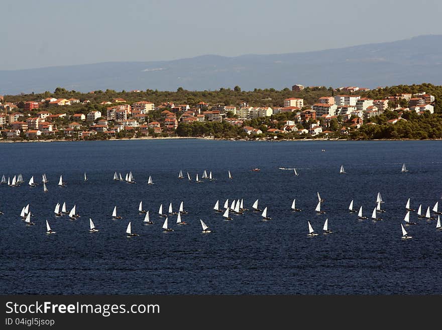 Many sailing-ships near croatian coast