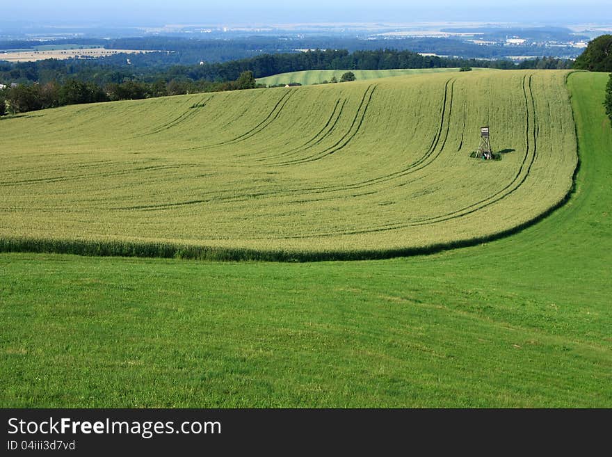 Agricultural field