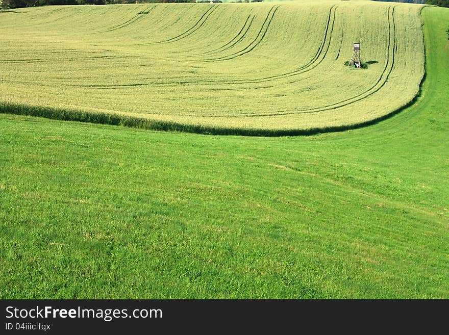 Agricultural field