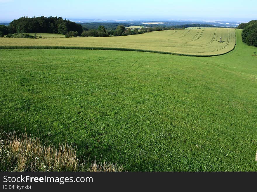 Agricultural field