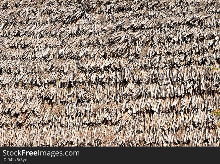 Thatched Palm Leaf Roof